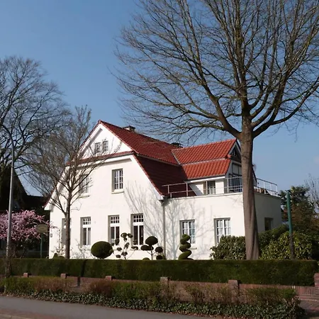 On The Primeval Forest Road Bockhorn (Lower-Saxony)