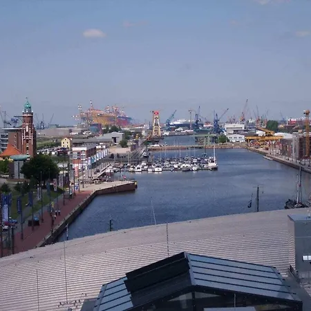 On The Primeval Forest Road *