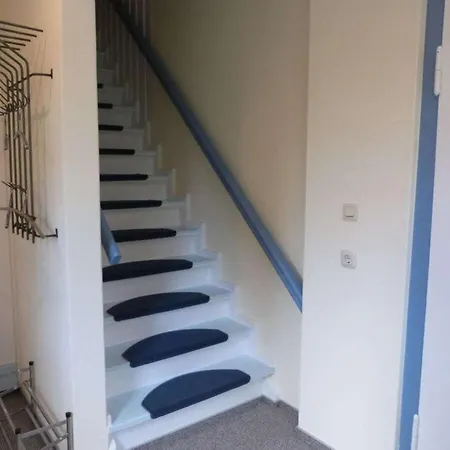 On The Primeval Forest Road Bockhorn (Lower-Saxony)