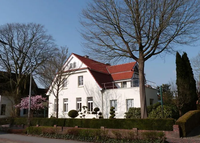 On The Primeval Forest Road Bockhorn (Lower-Saxony)
