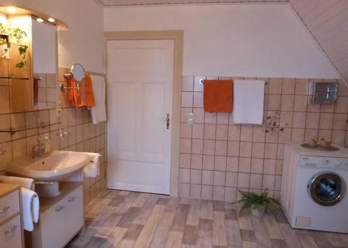 On The Primeval Forest Road