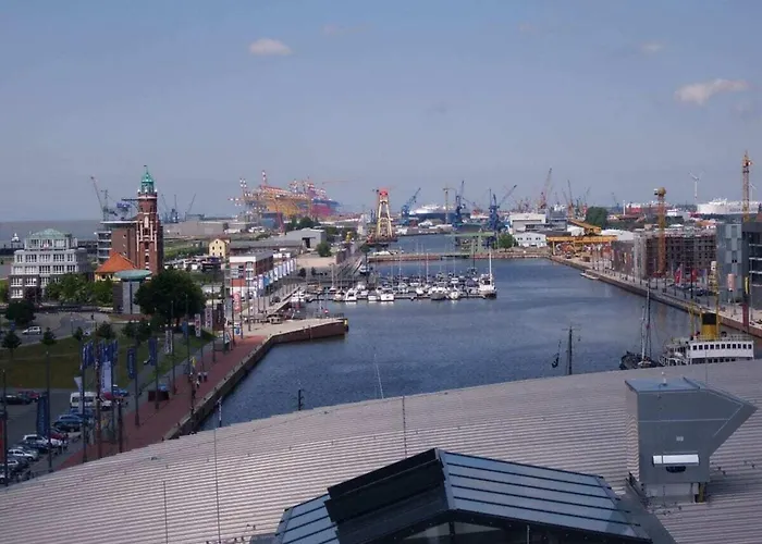 On The Primeval Forest Road *