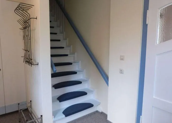 On The Primeval Forest Road Bockhorn (Lower-Saxony)